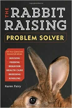 rabbit_raising