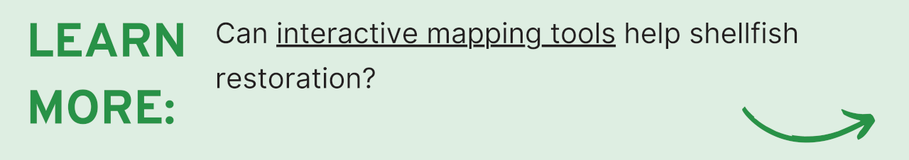 Learn More: Can interactive mapping tools help shellfish restoration?